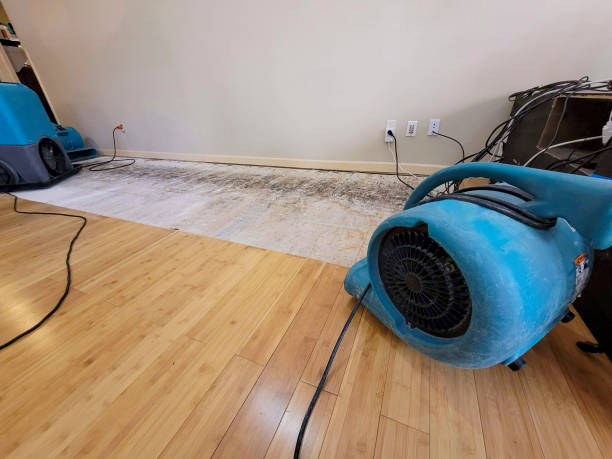 Professional Emergency Water Damage technician working in Bowling Green, MD